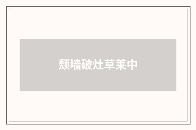 颓墙破灶草莱中