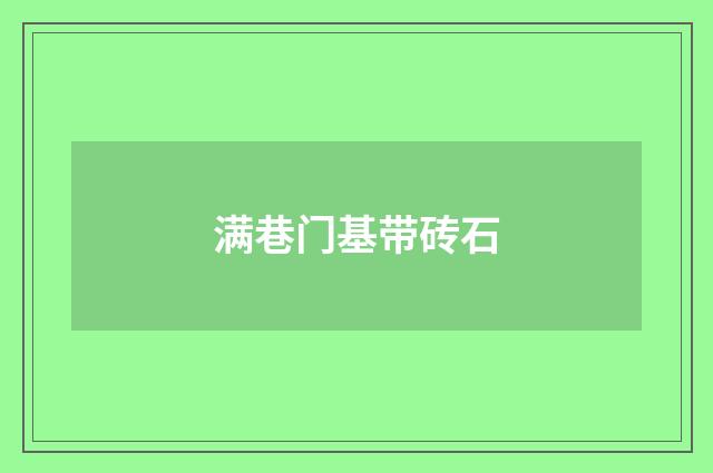 满巷门基带砖石