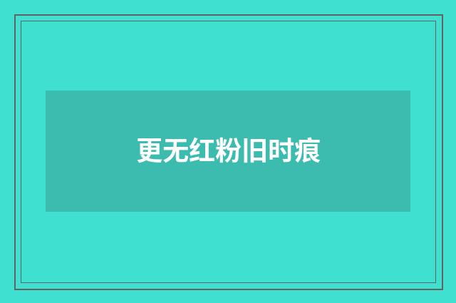 更无红粉旧时痕