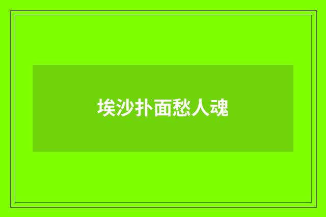 埃沙扑面愁人魂