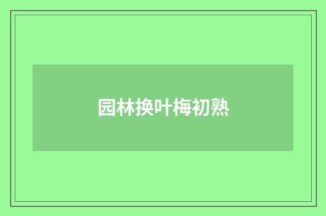 园林换叶梅初熟