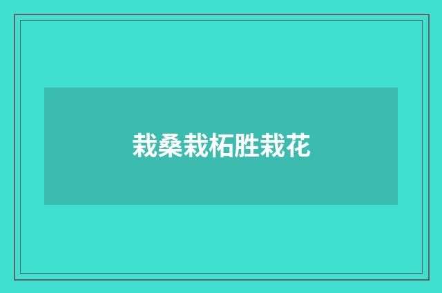 栽桑栽柘胜栽花