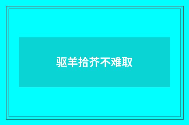 驱羊拾芥不难取