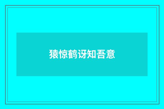 猿惊鹤讶知吾意