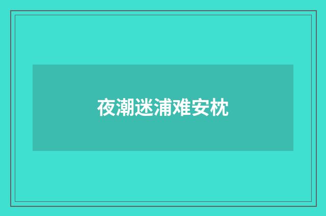 夜潮迷浦难安枕