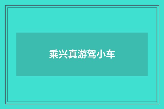 乘兴真游驾小车