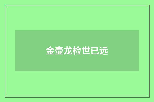 金壶龙检世已远
