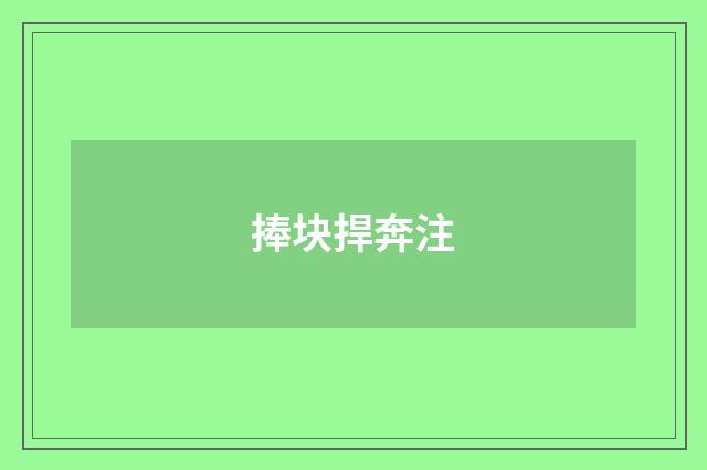 捧块捍奔注