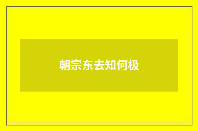 朝宗东去知何极