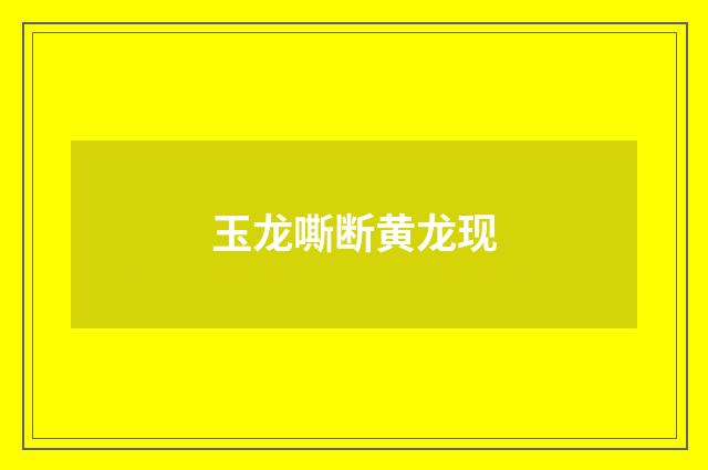 玉龙嘶断黄龙现