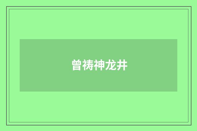 曾祷神龙井