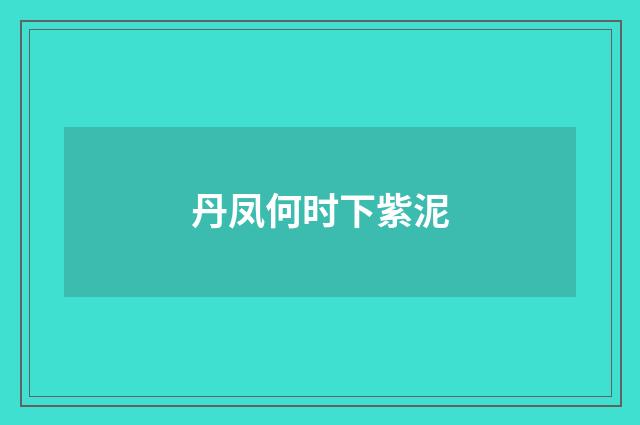 丹凤何时下紫泥