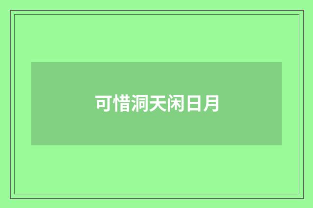可惜洞天闲日月