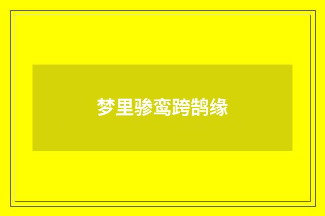 梦里骖鸾跨鹄缘