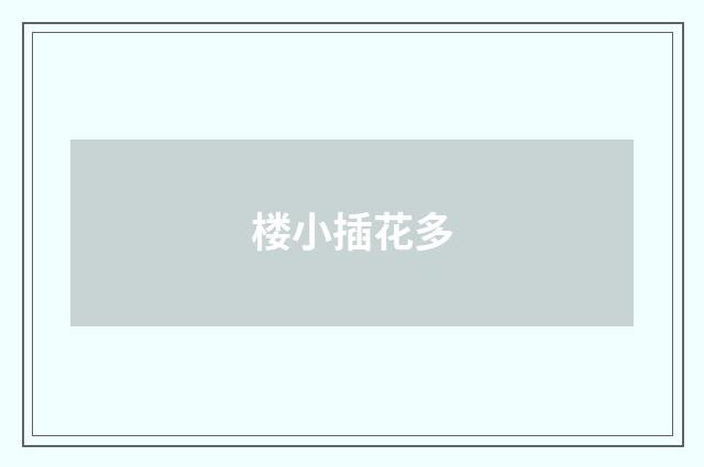 楼小插花多