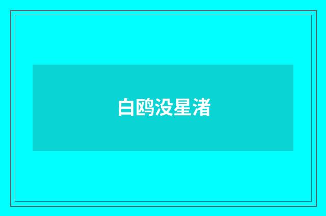 白鸥没星渚