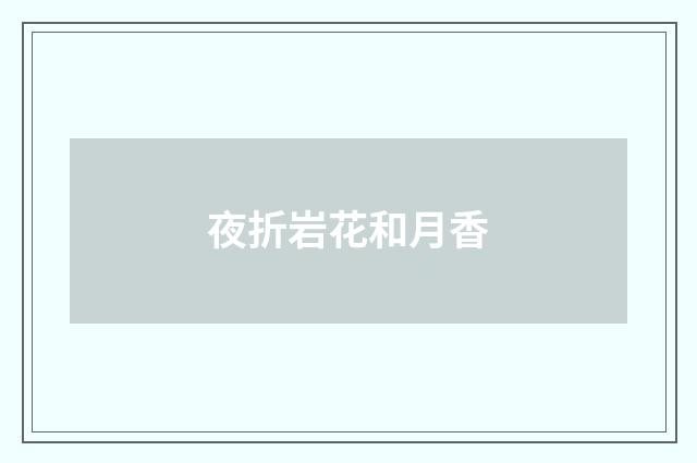 夜折岩花和月香