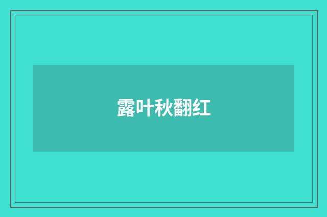 露叶秋翻红