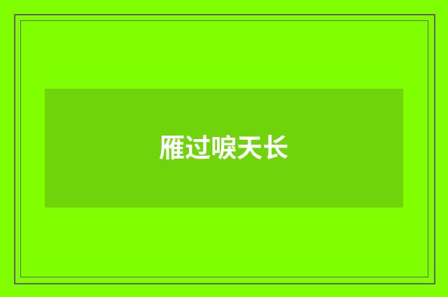 雁过唳天长