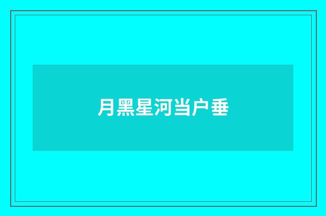 月黑星河当户垂