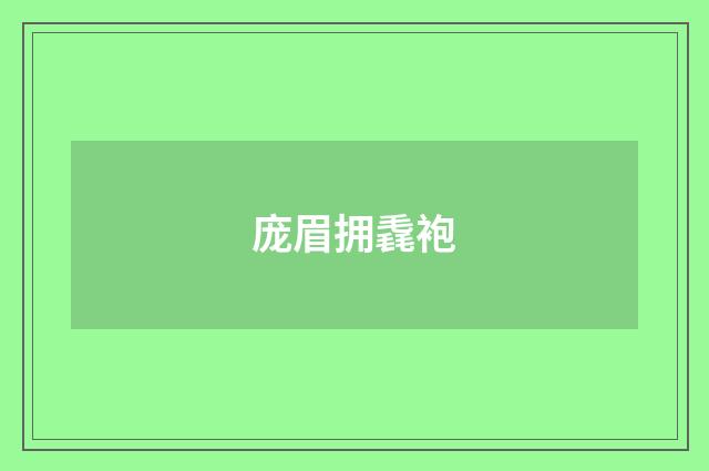 庞眉拥毳袍