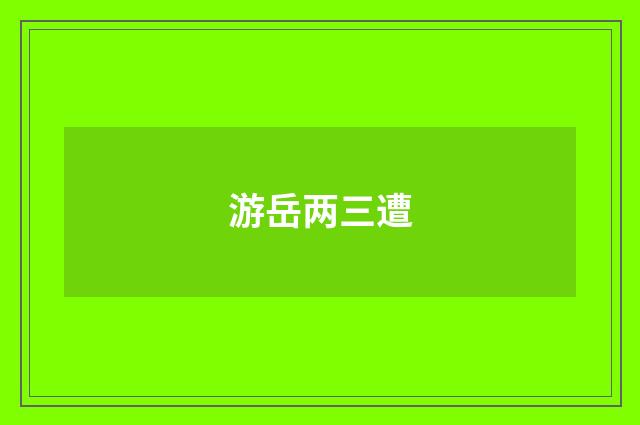 游岳两三遭