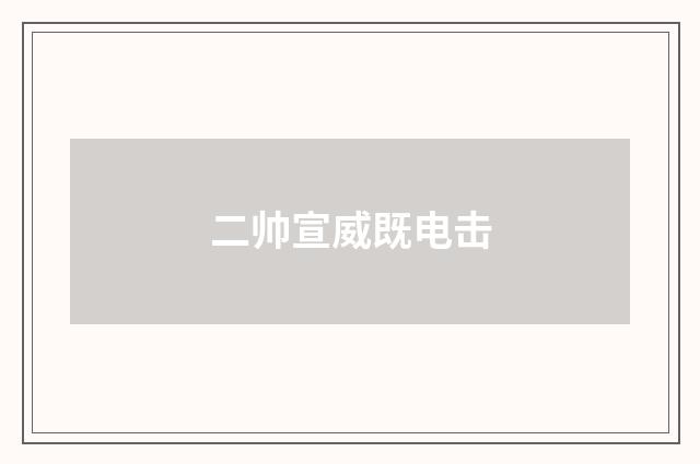 二帅宣威既电击