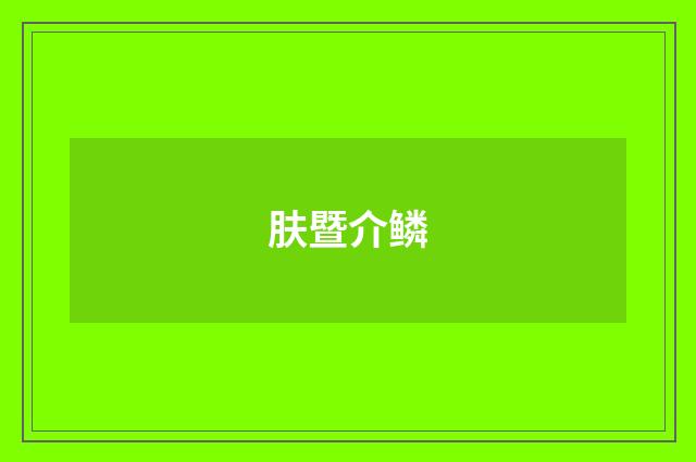 肤暨介鳞