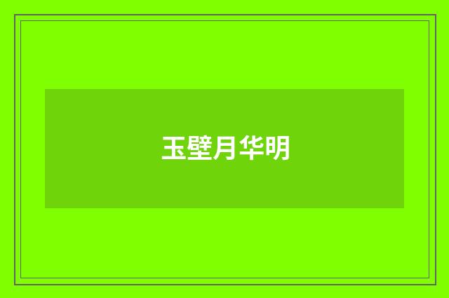 玉壁月华明