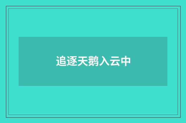 追逐天鹅入云中