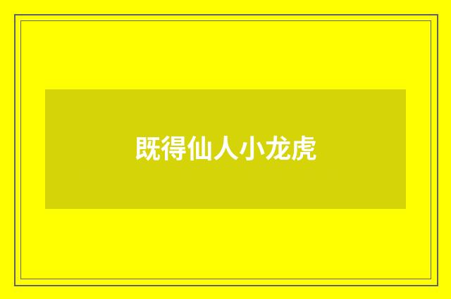 既得仙人小龙虎