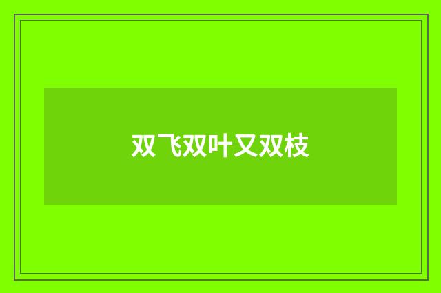 双飞双叶又双枝