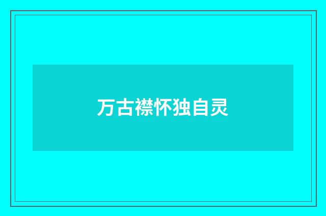 万古襟怀独自灵