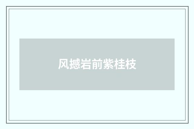 风撼岩前紫桂枝