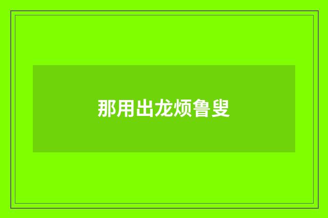 那用出龙烦鲁叟