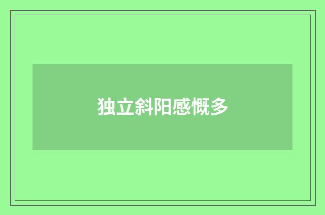 独立斜阳感慨多