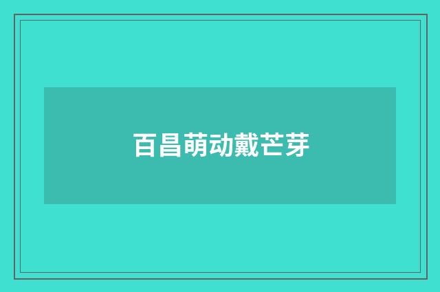 百昌萌动戴芒芽