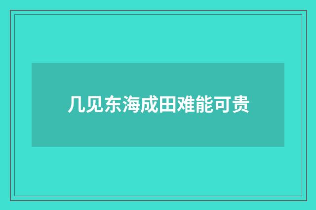 几见东海成田难能可贵