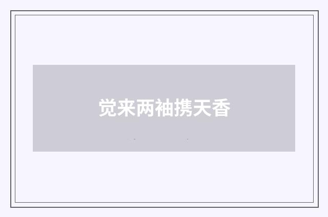 觉来两袖携天香