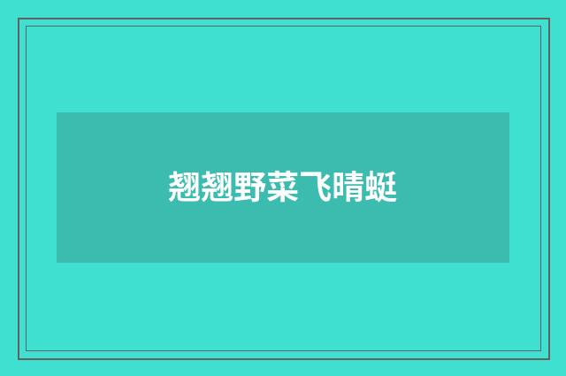 翘翘野菜飞晴蜓