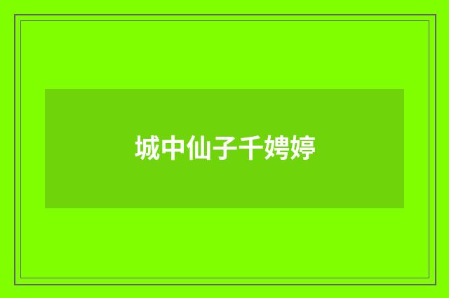 城中仙子千娉婷