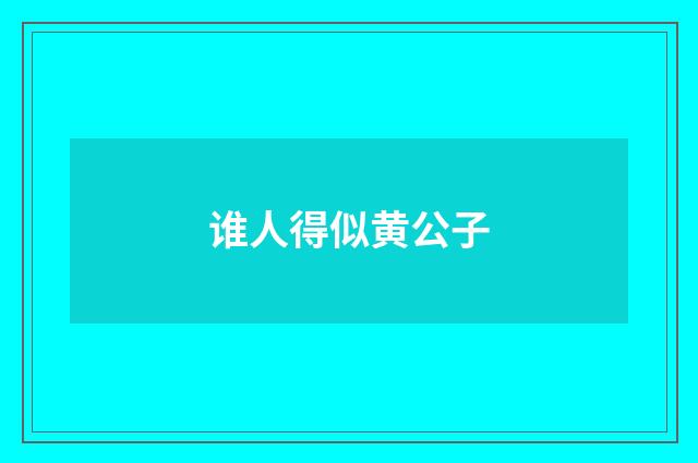谁人得似黄公子