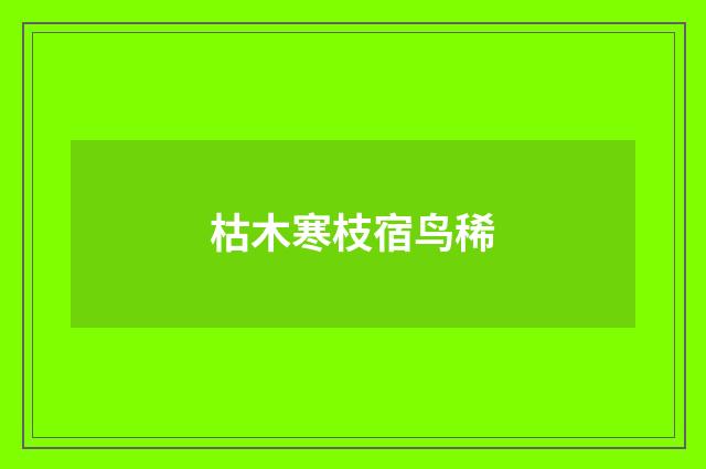 枯木寒枝宿鸟稀