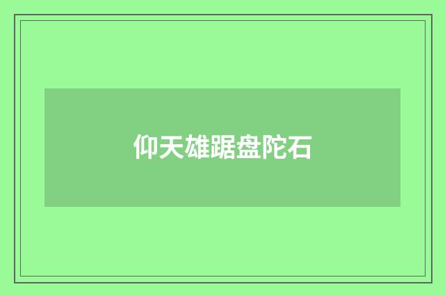 仰天雄踞盘陀石