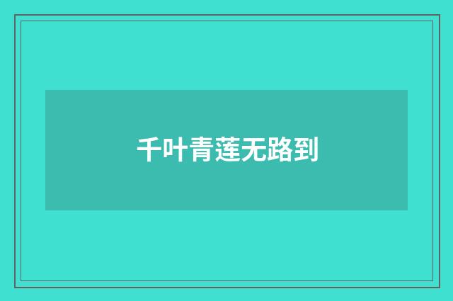 千叶青莲无路到