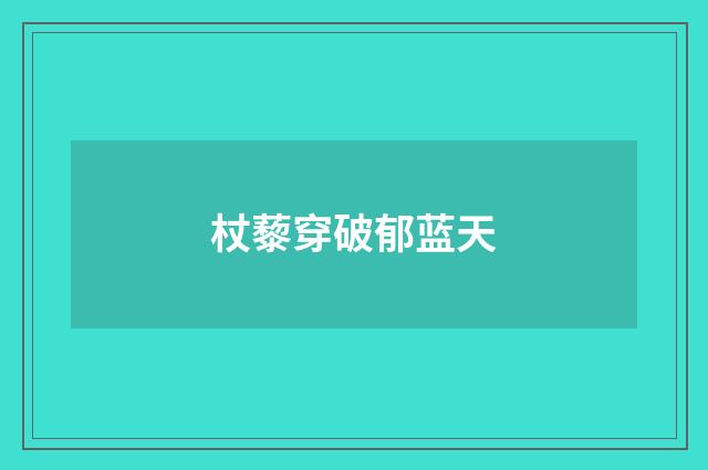 杖藜穿破郁蓝天