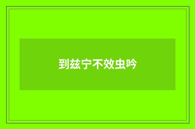 到兹宁不效虫吟