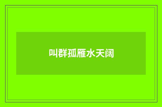叫群孤雁水天阔
