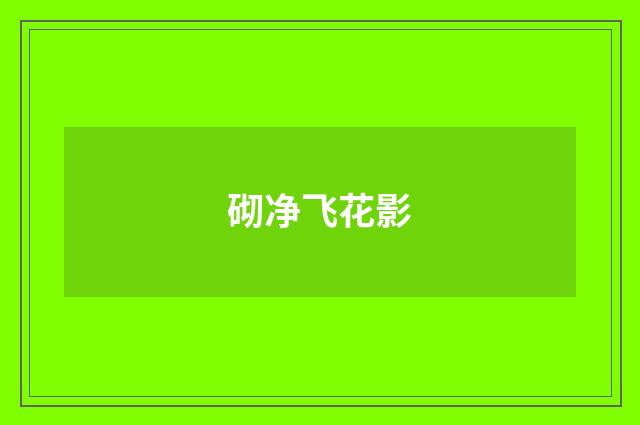 砌净飞花影