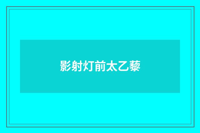 影射灯前太乙藜